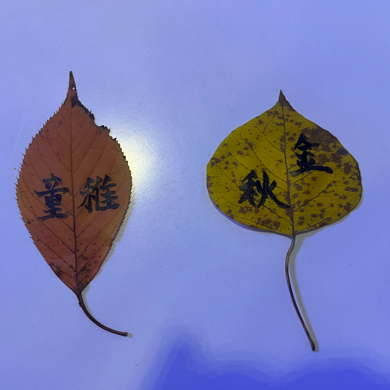 荷塘月色