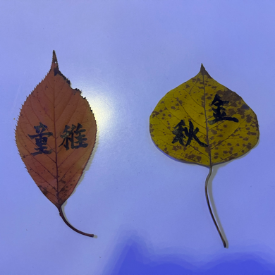 依莲悠梦