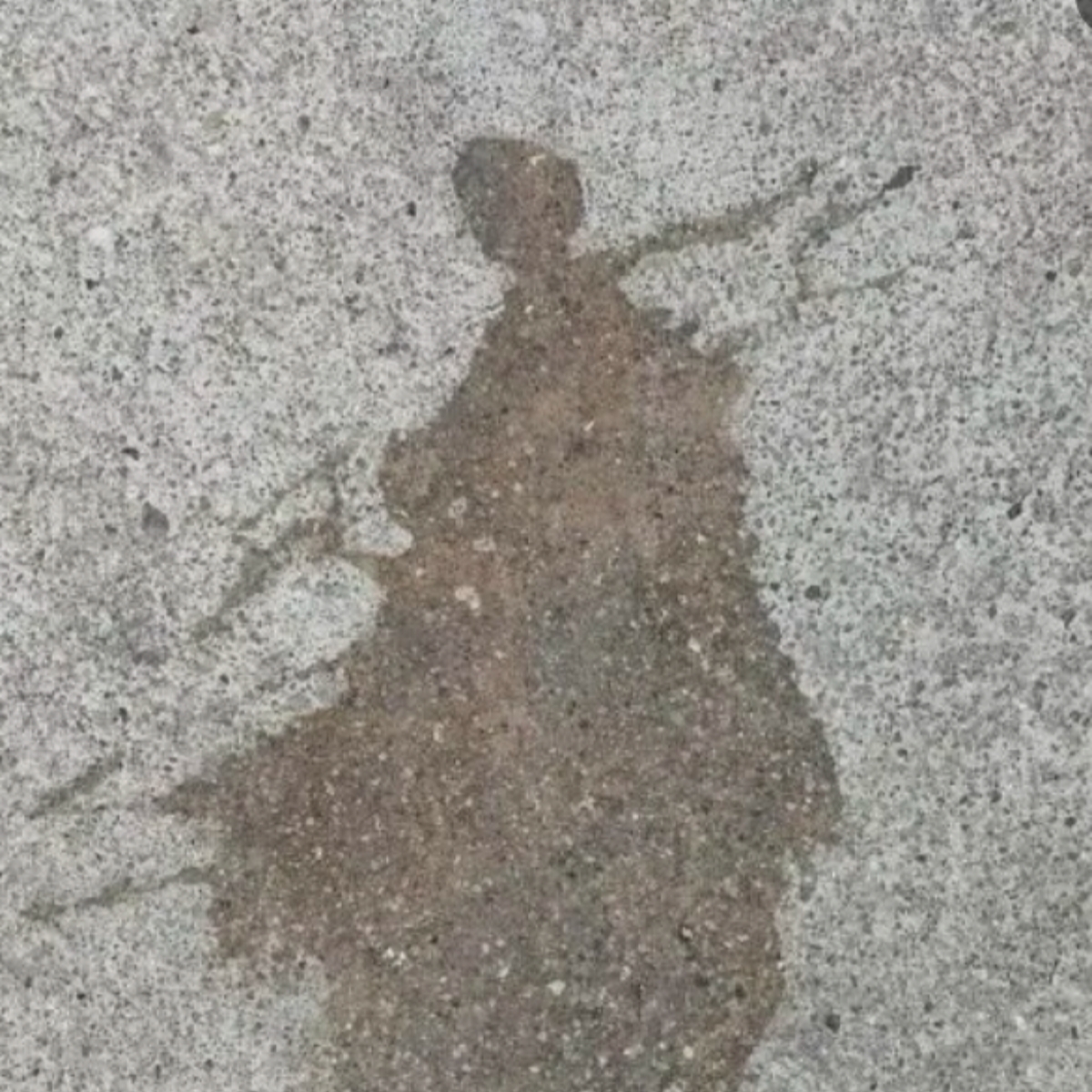 世界名著阅读