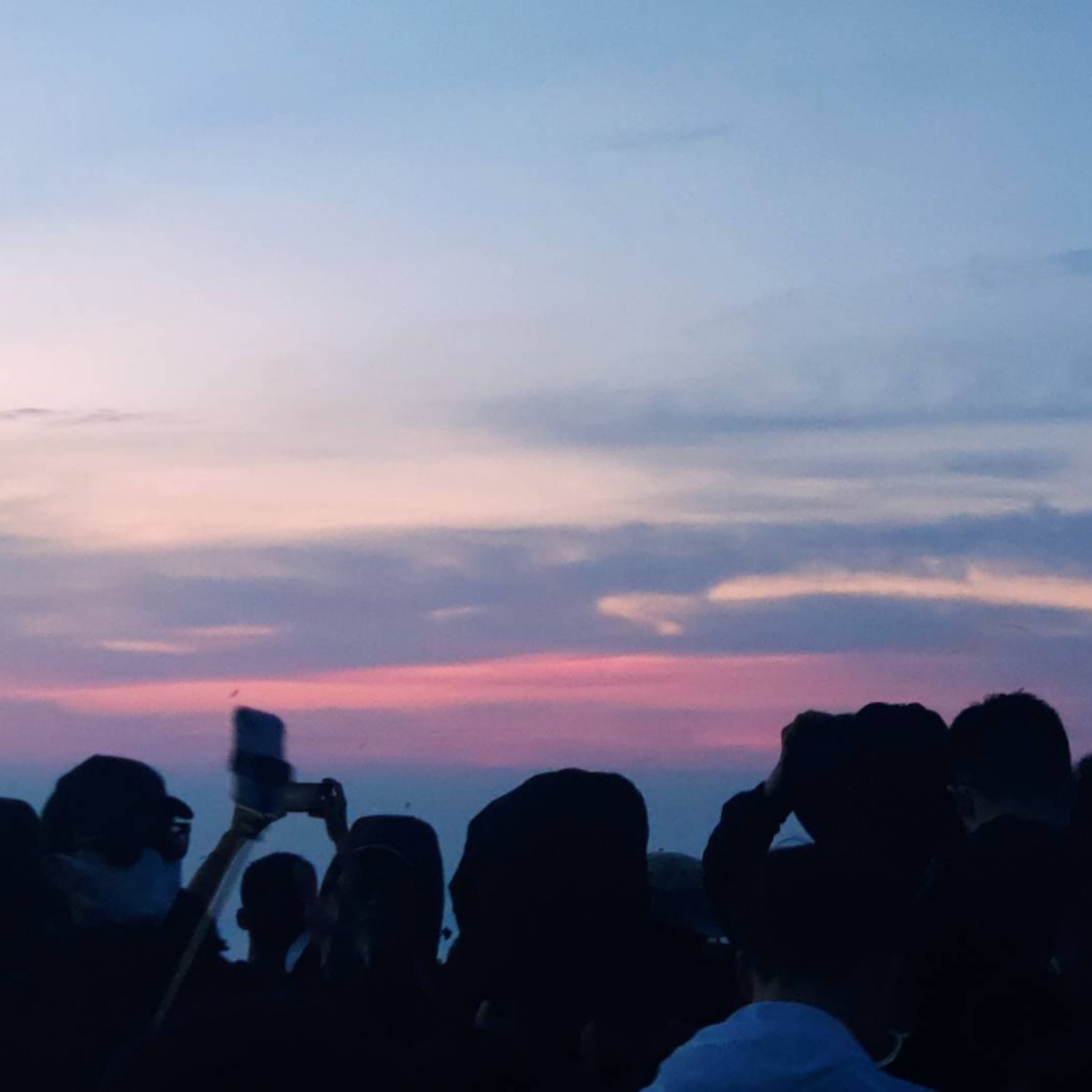 治愈故事合集