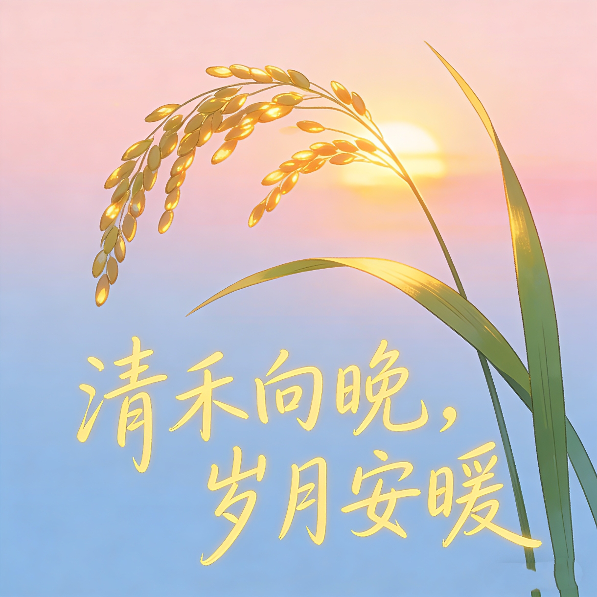 清禾向晚