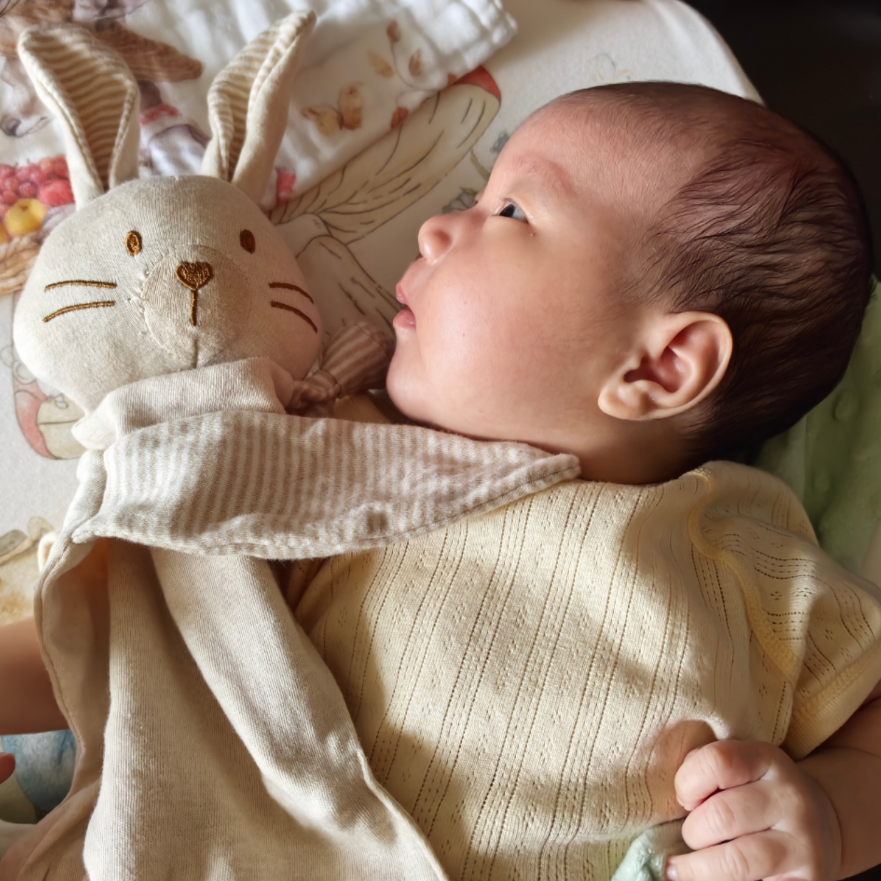 给小满的100封信