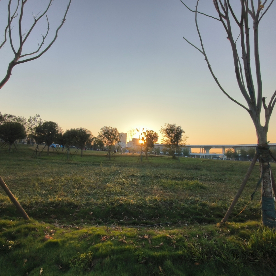 娜娜回归规范理论学习