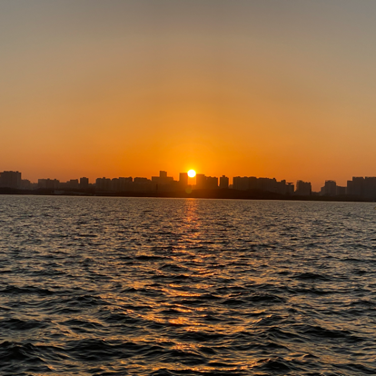 世界历史问问问