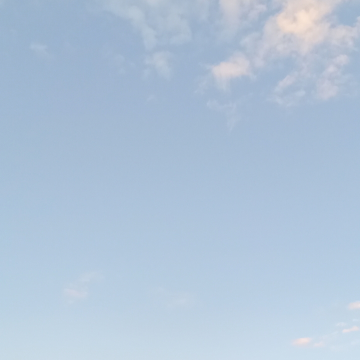日常语录