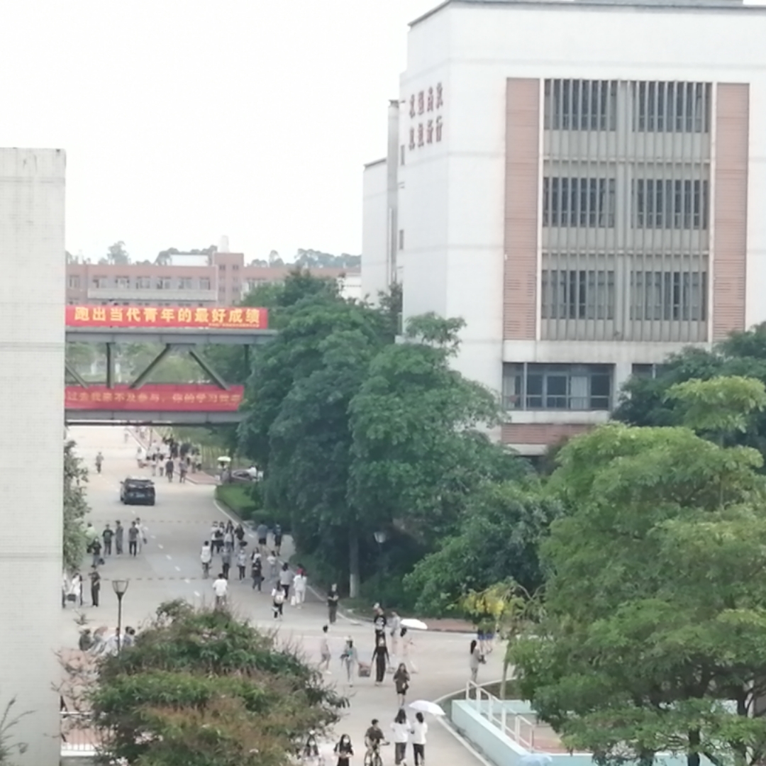 《无怨的青春》