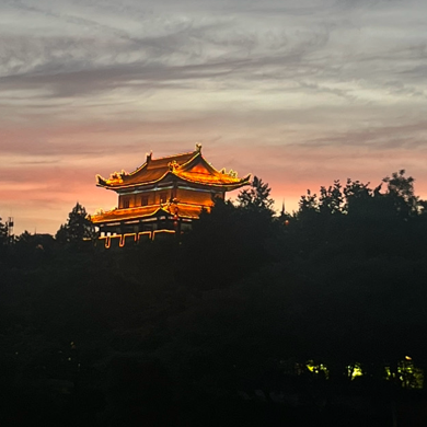 我的阿勒泰