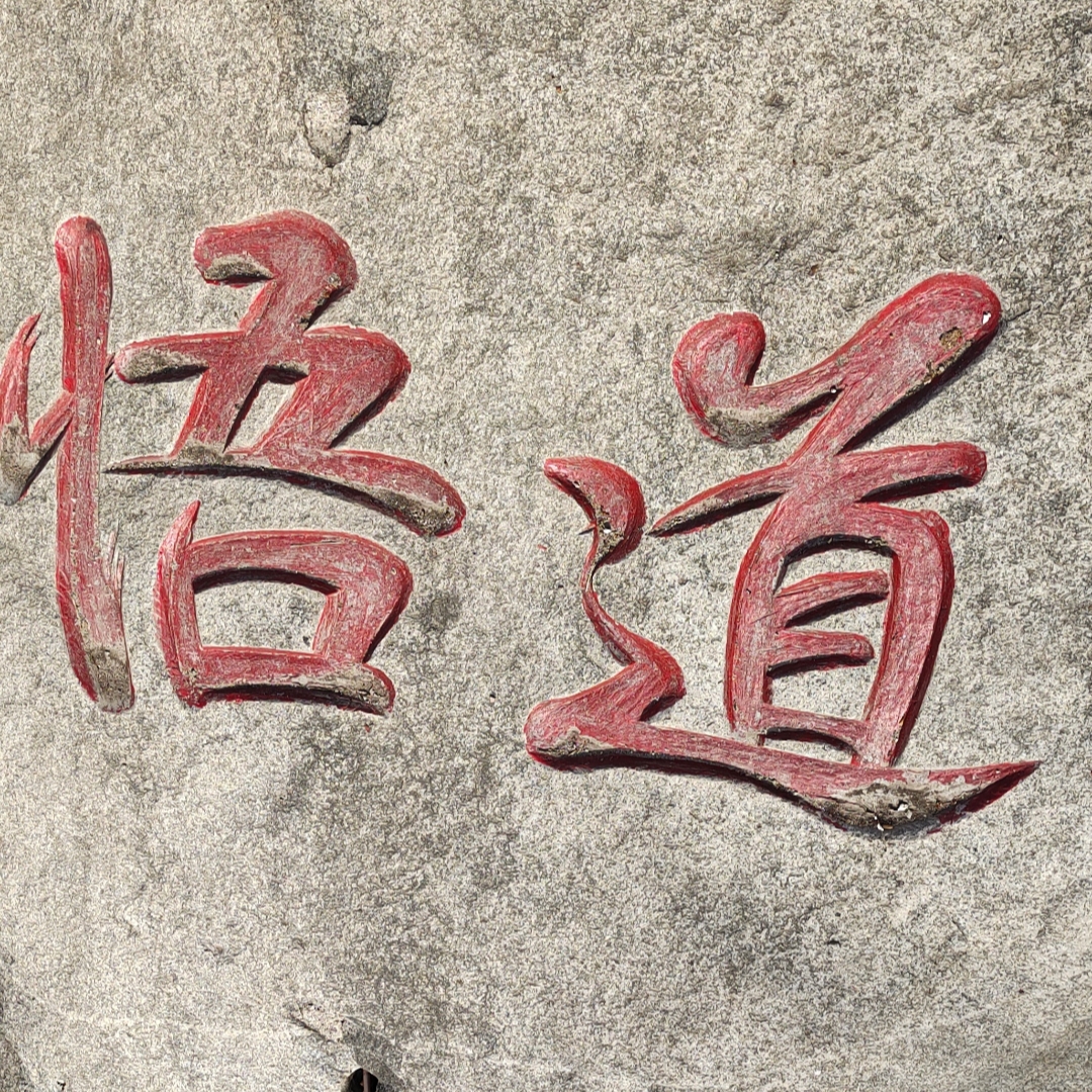 资治通鉴对现代职场的意义