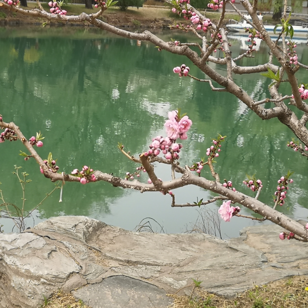 约客