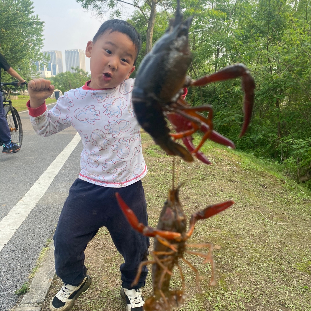 陈仕曈的专辑