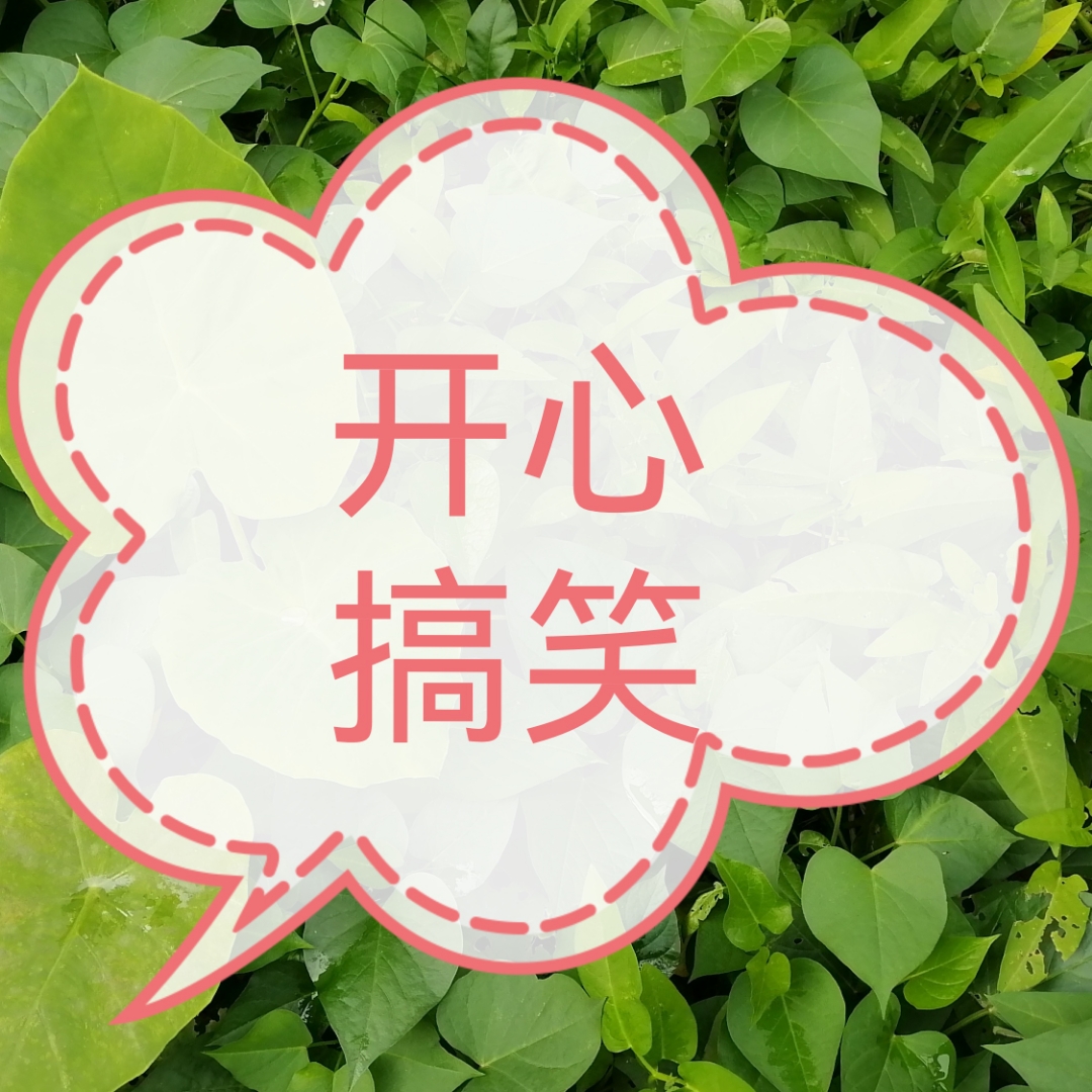 开心搞笑娱乐，解压笑话幽默