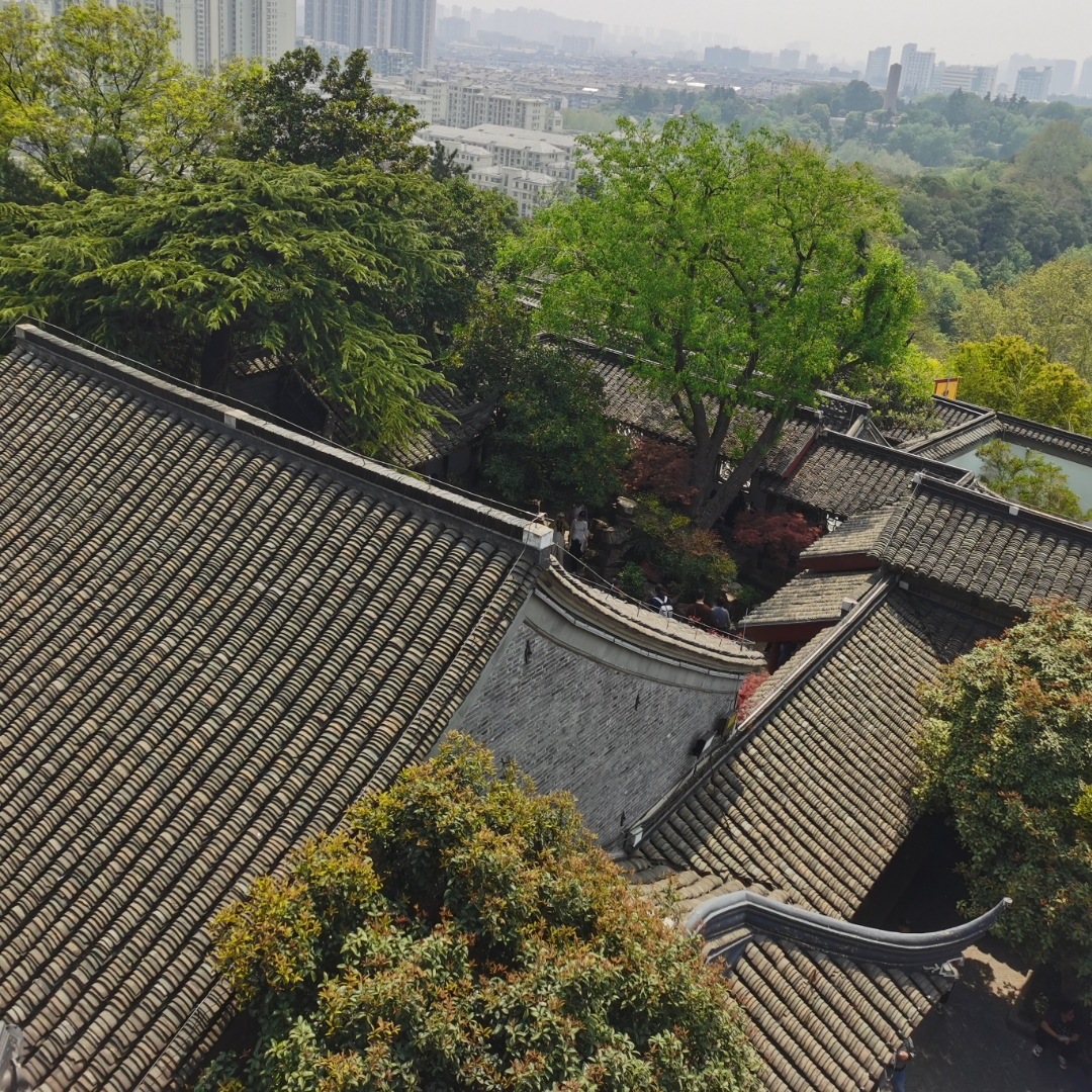 历史杂谈