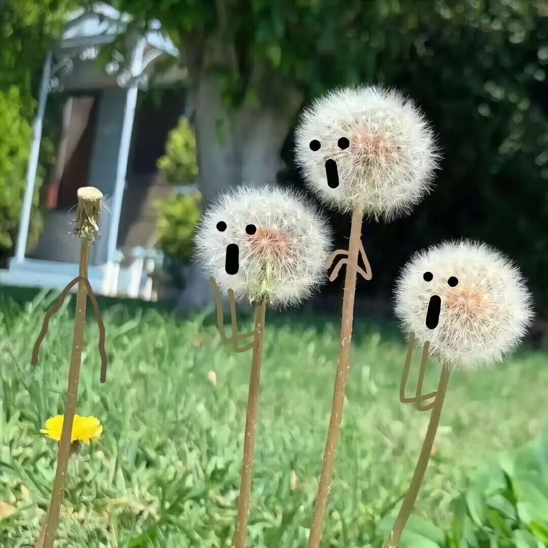 开头语