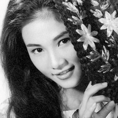 只因相遇太美