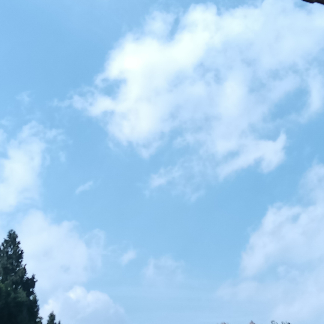 情感文案