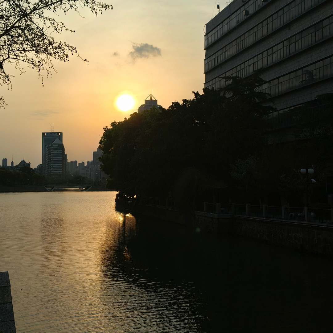 观后感