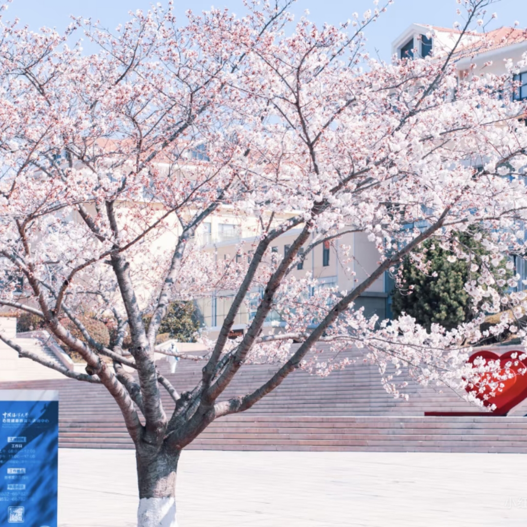 诗歌