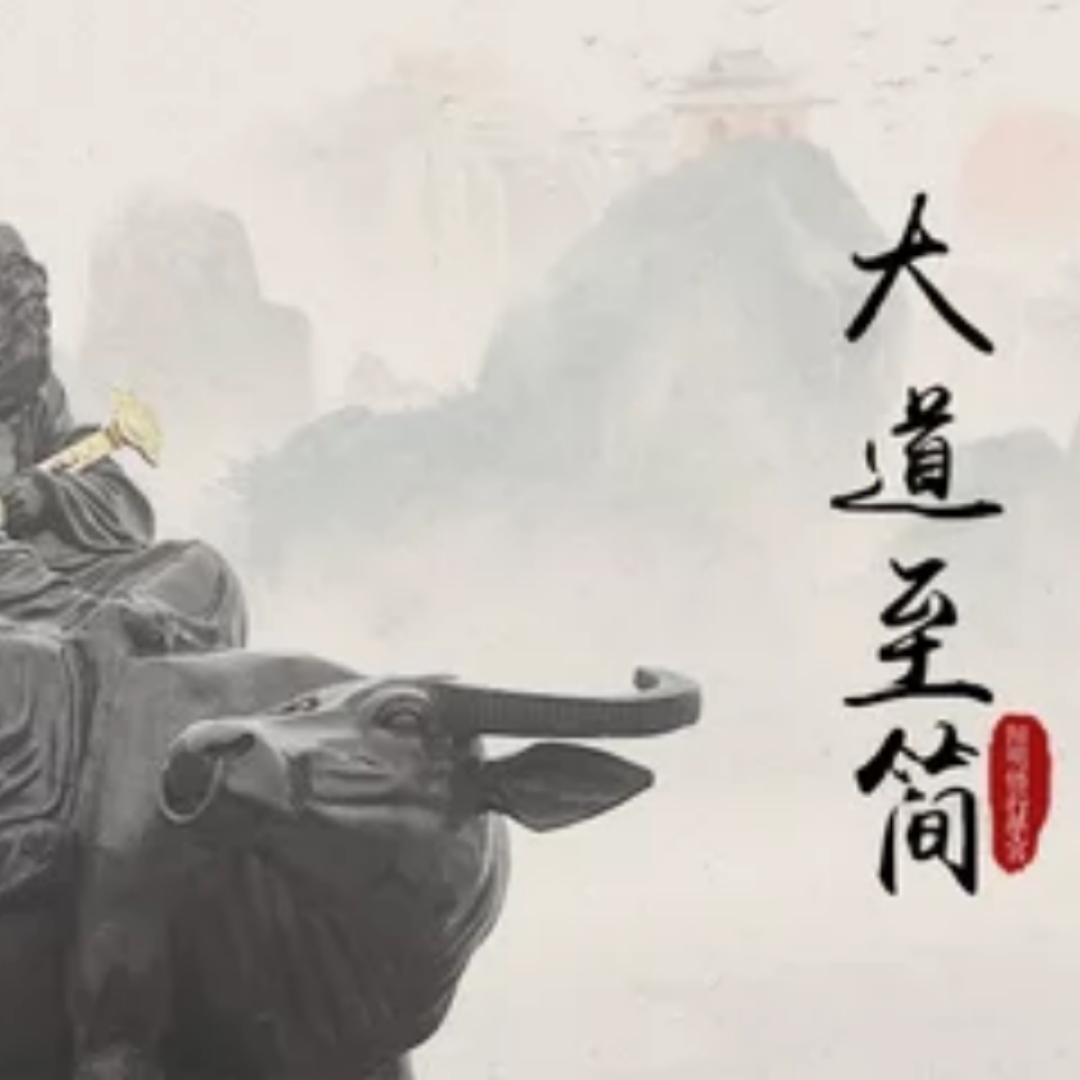 顽石51