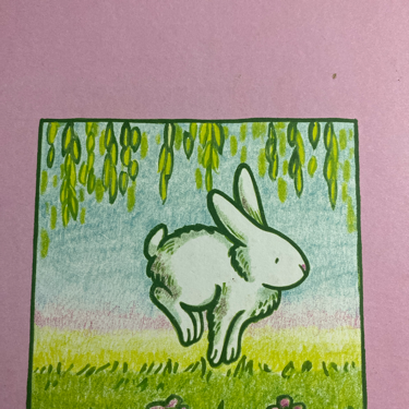 小白兔