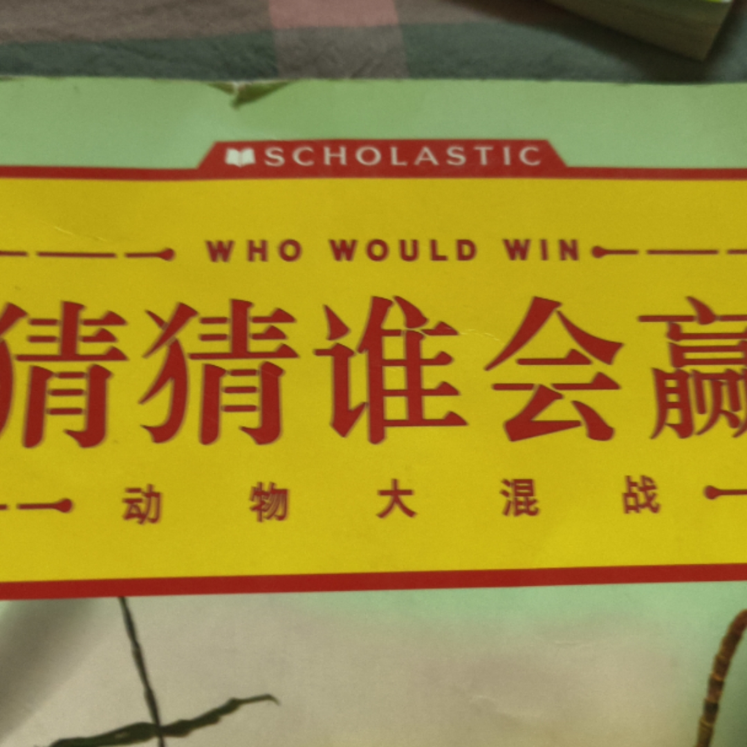 猜猜谁会赢