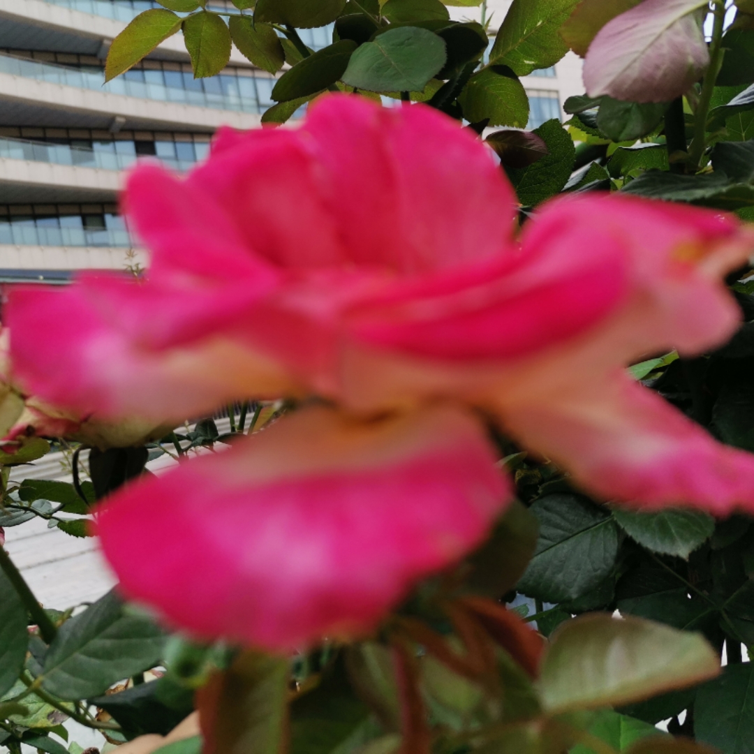 缓解焦虑
