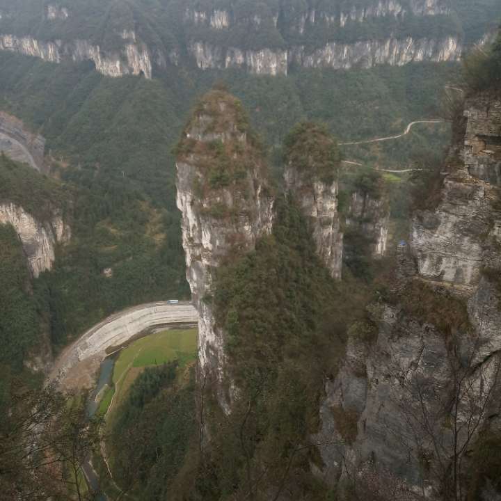 花开花落知多少