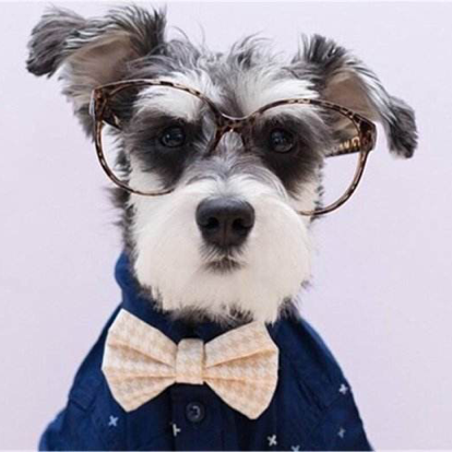 你有心事对我讲