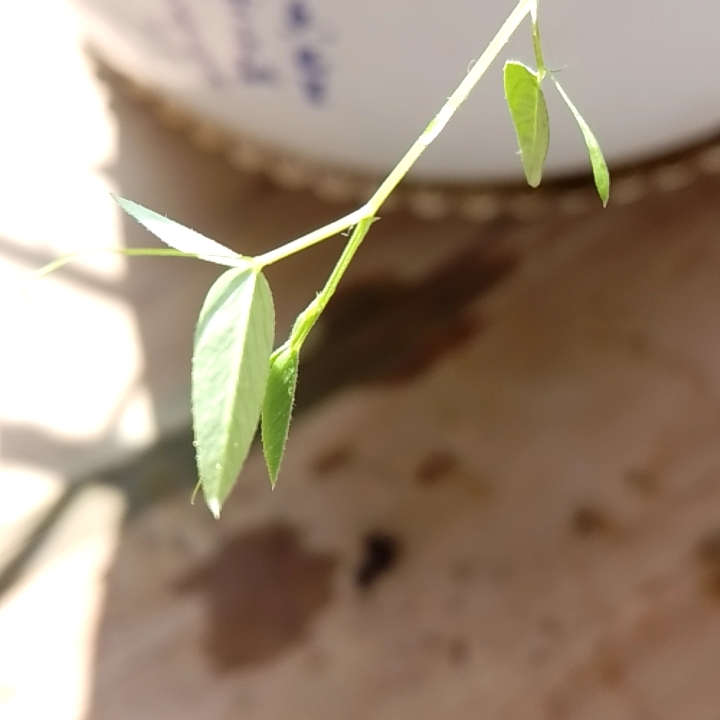 休闲解压故事