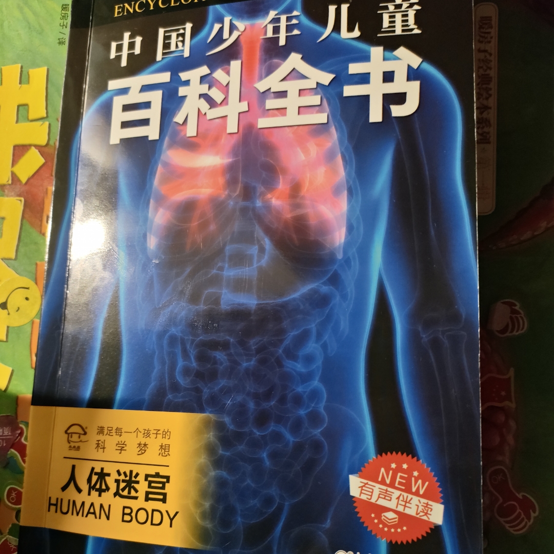 中国少年儿童百科全书  人体迷宫