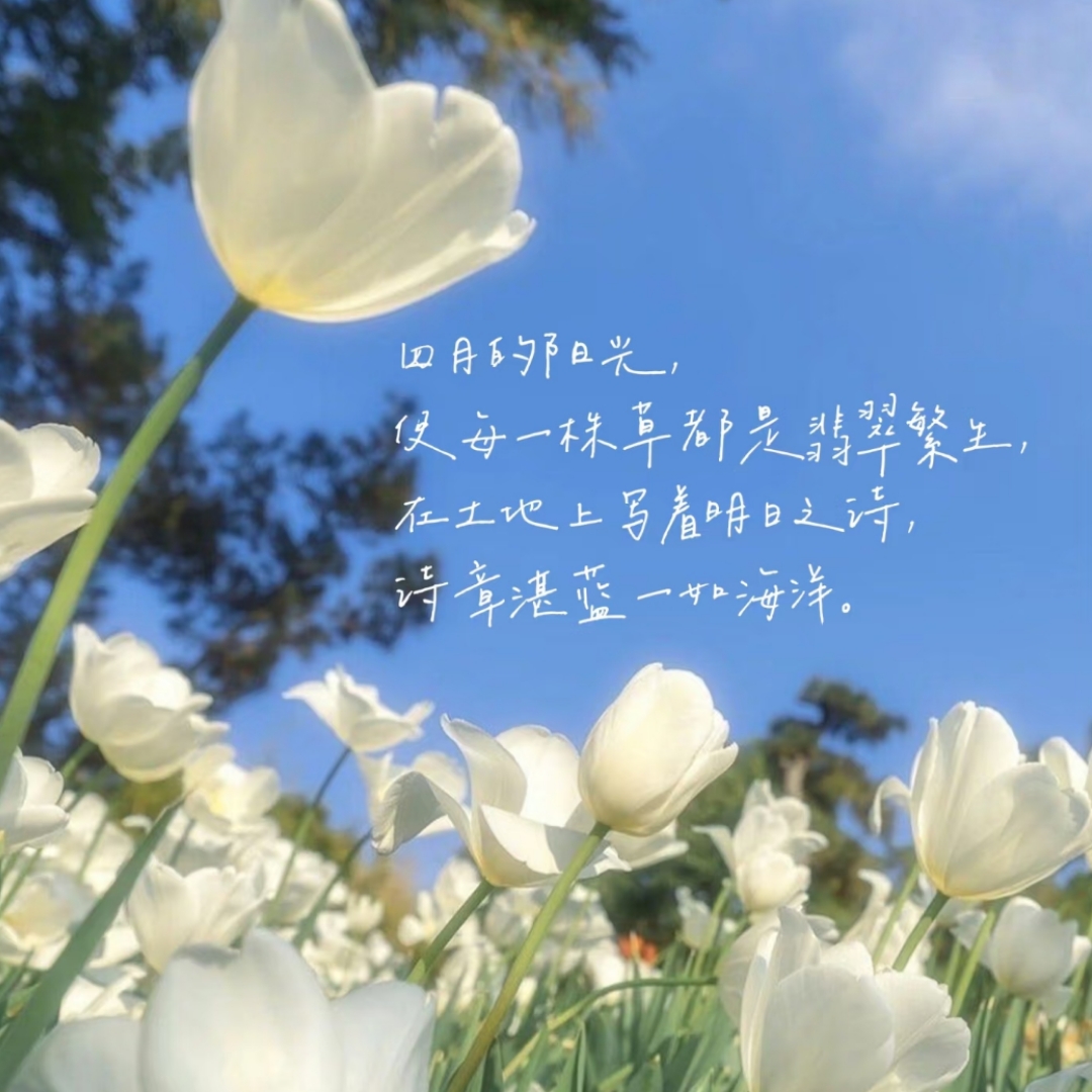 你是人间四月天