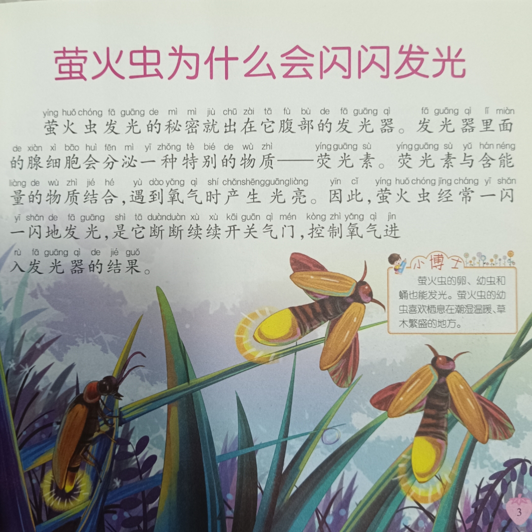 睡前故事——昆虫王国