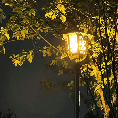 晚安，今天