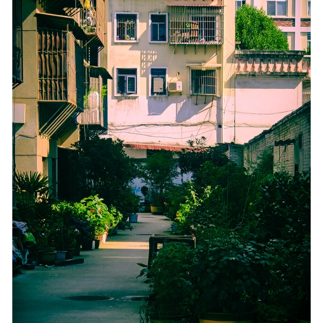山花落尽