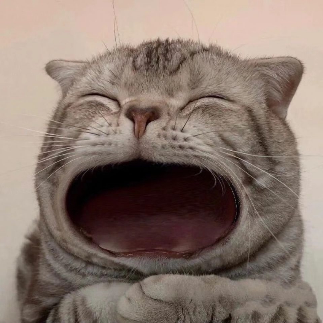 十五岁