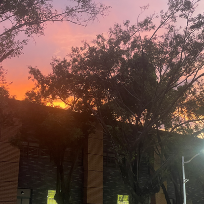 在心里种花 人生才不会荒芜