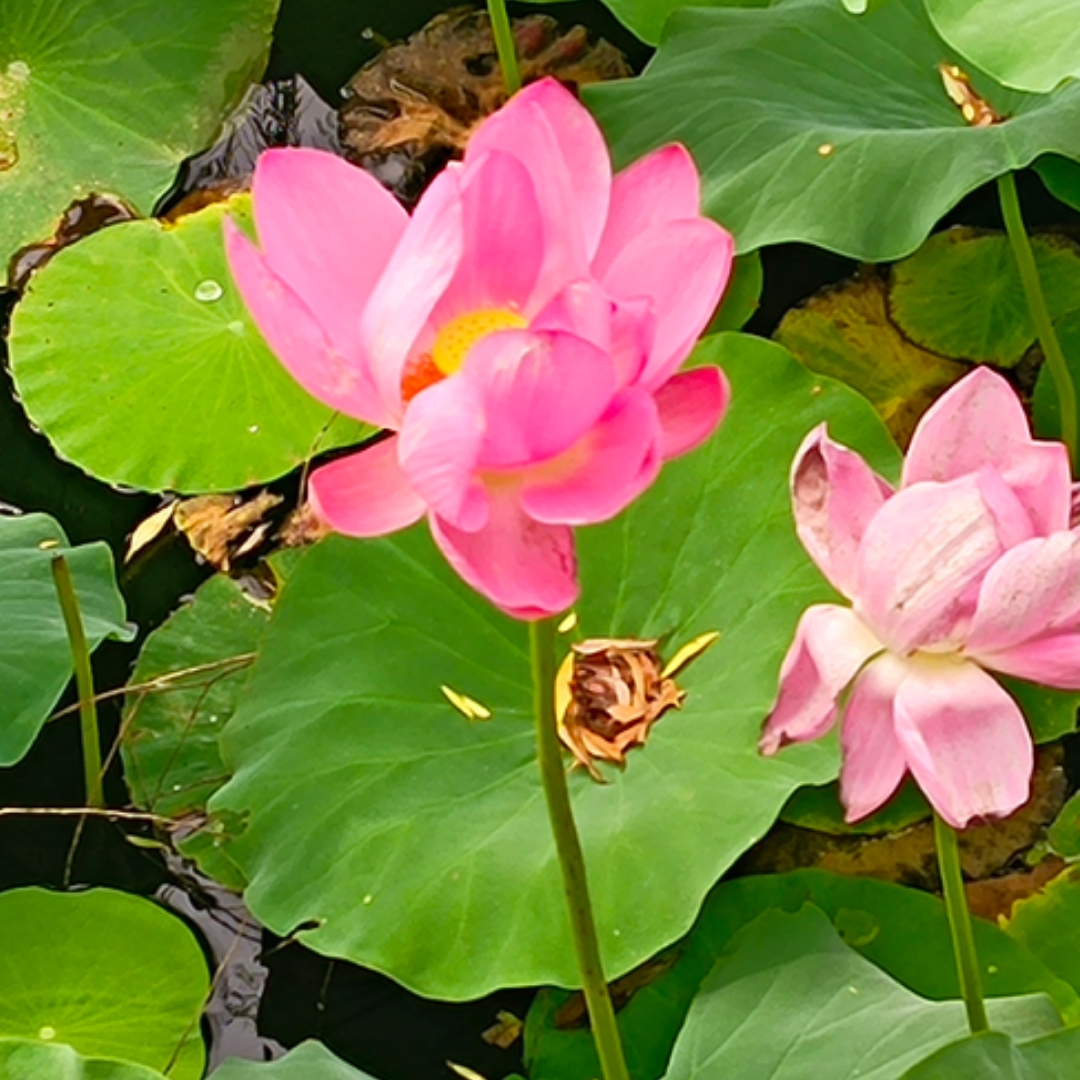 睡前爱情故事
