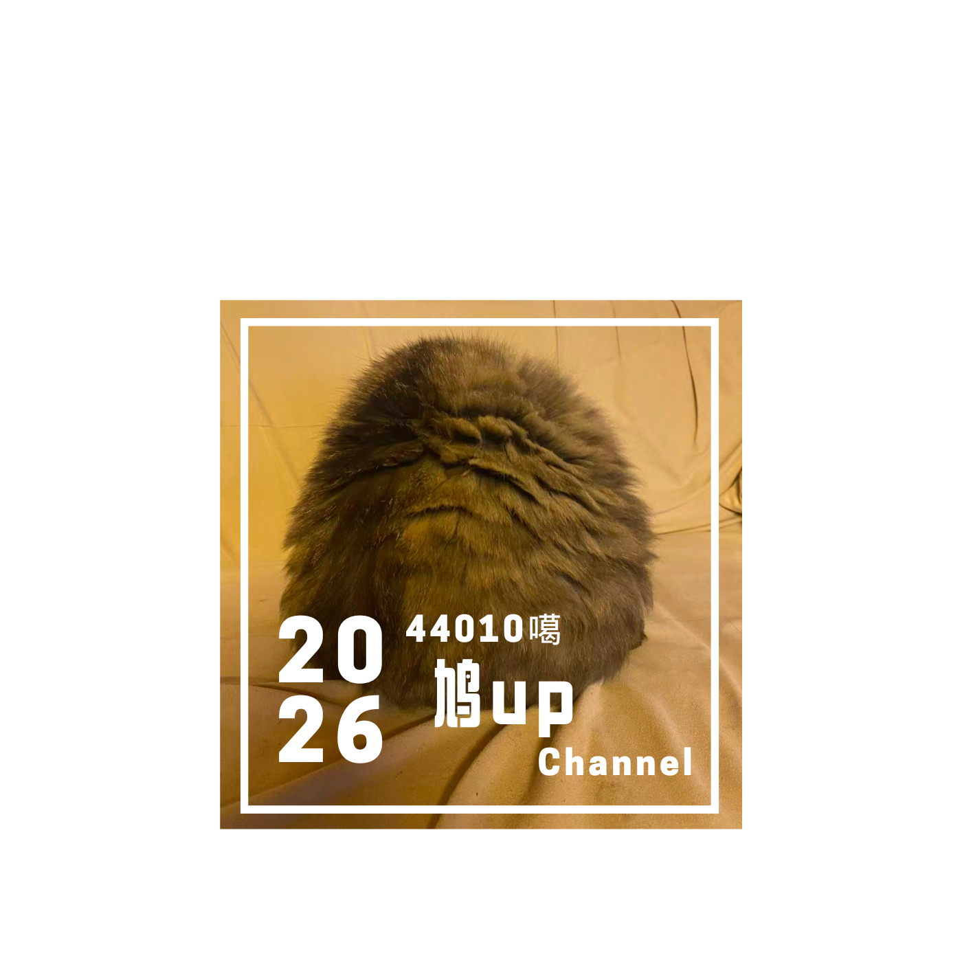 44010鸠up噶Channel