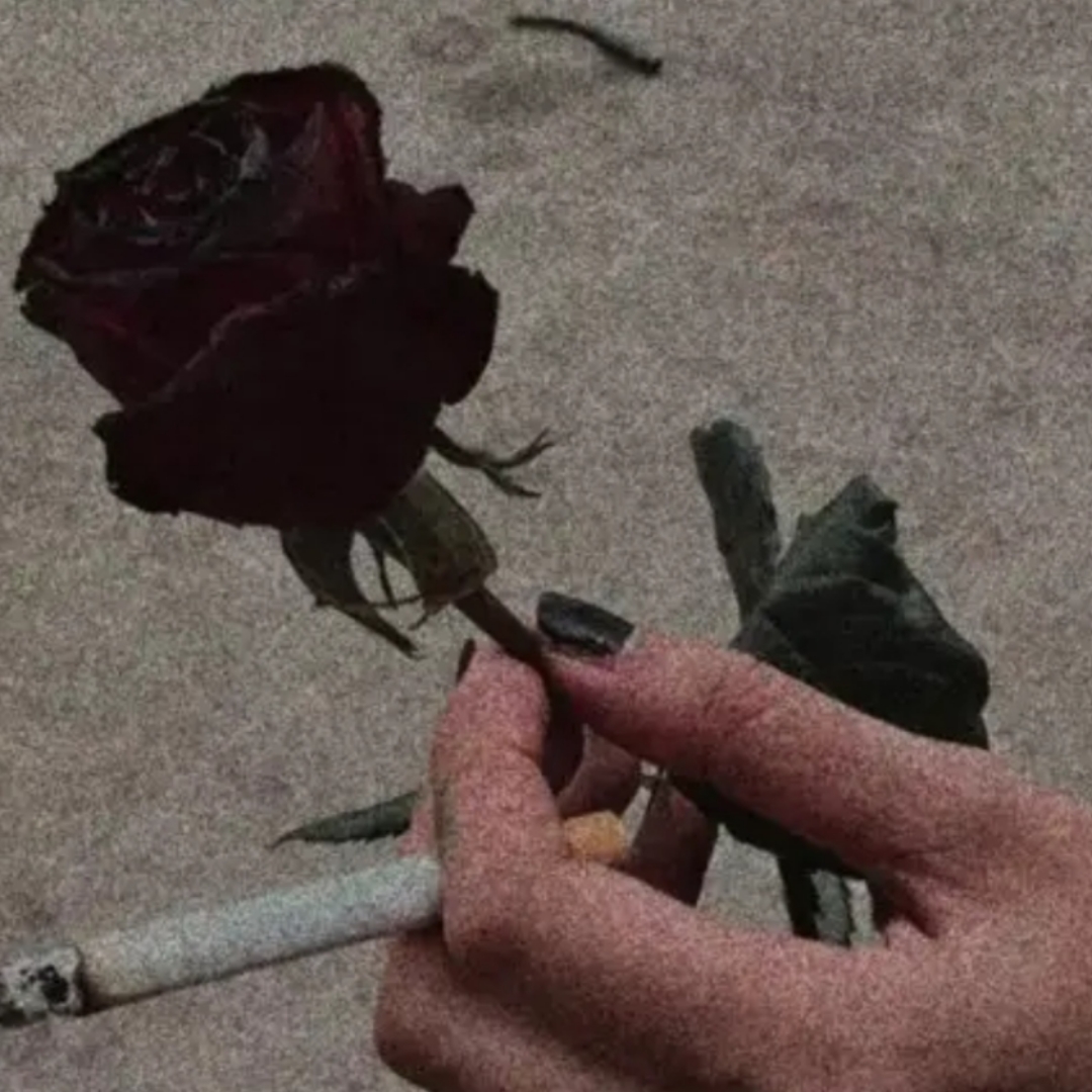 要珍惜当前的朋友