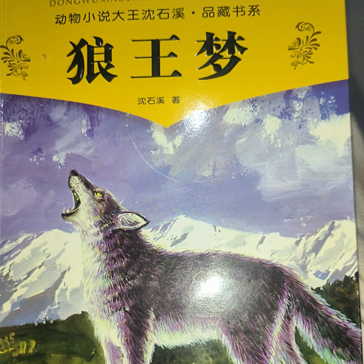 狼王梦
