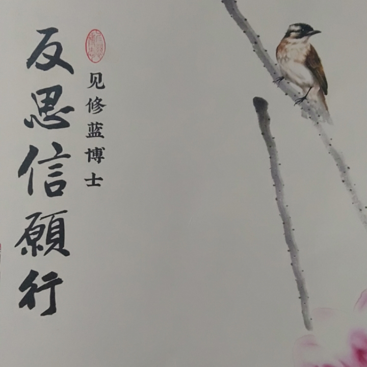 《反思信愿行》