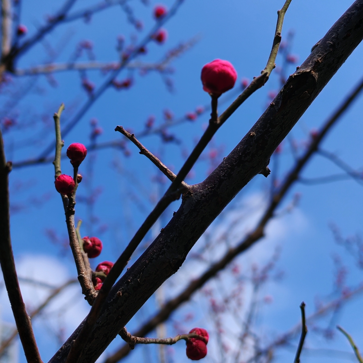 生活里点滴记录