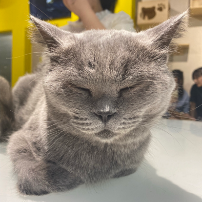 华山论剑