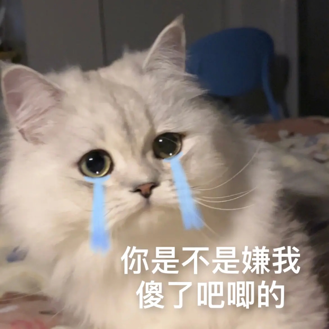 小说