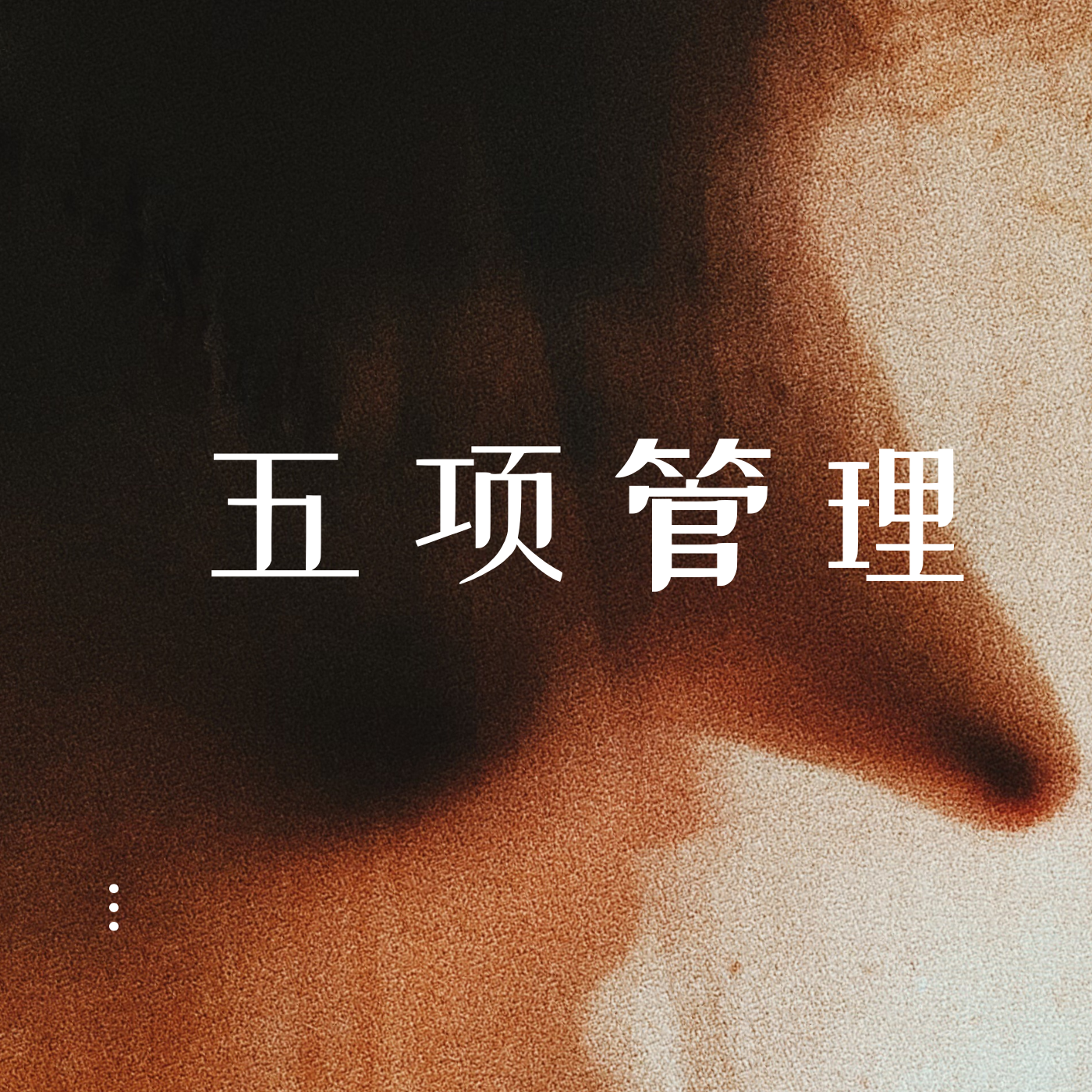 李践五项管理全集