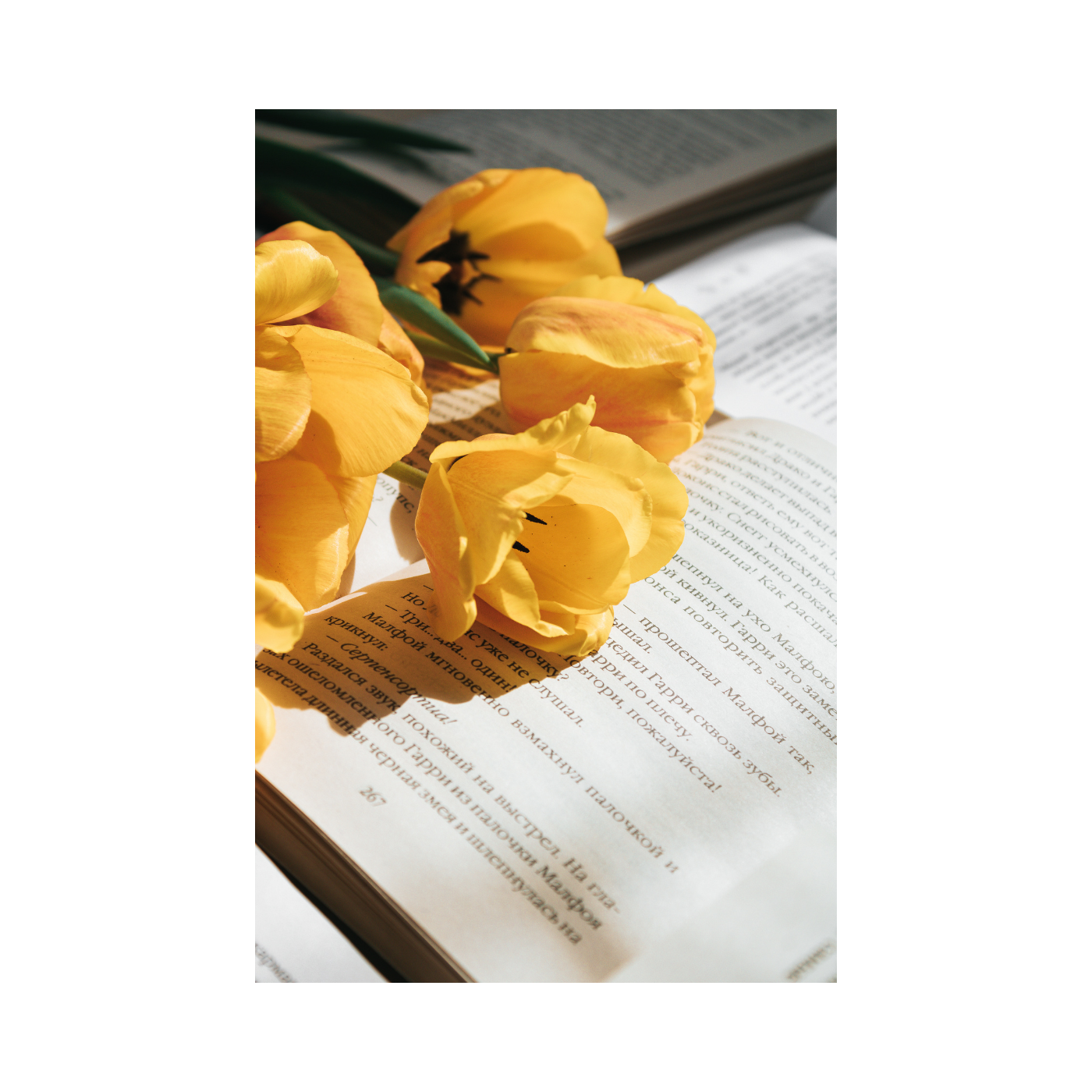 科学60秒双语版