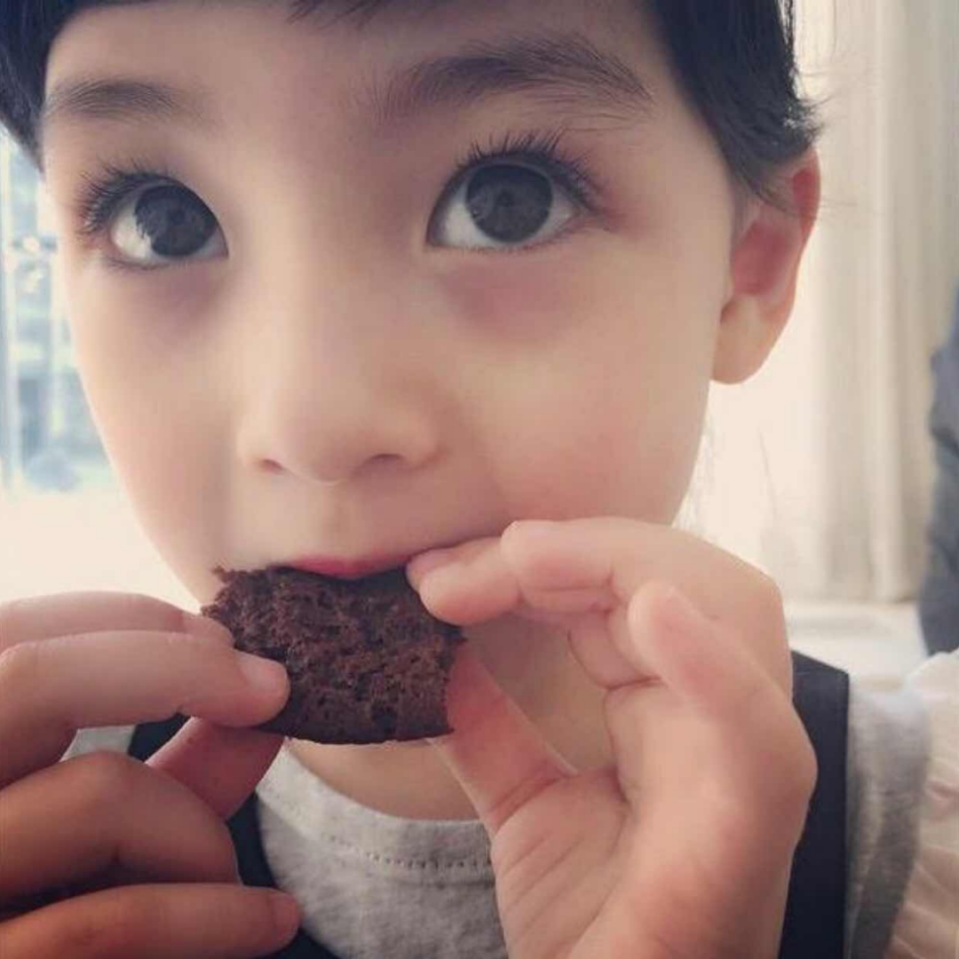 爱吃蛋糕的敬敬