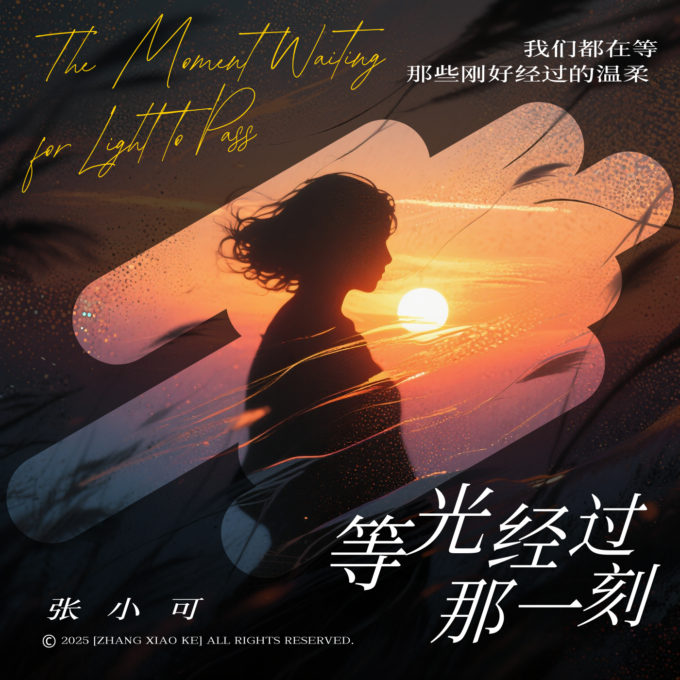 莉莉的视听时空
