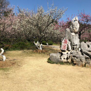 介绍