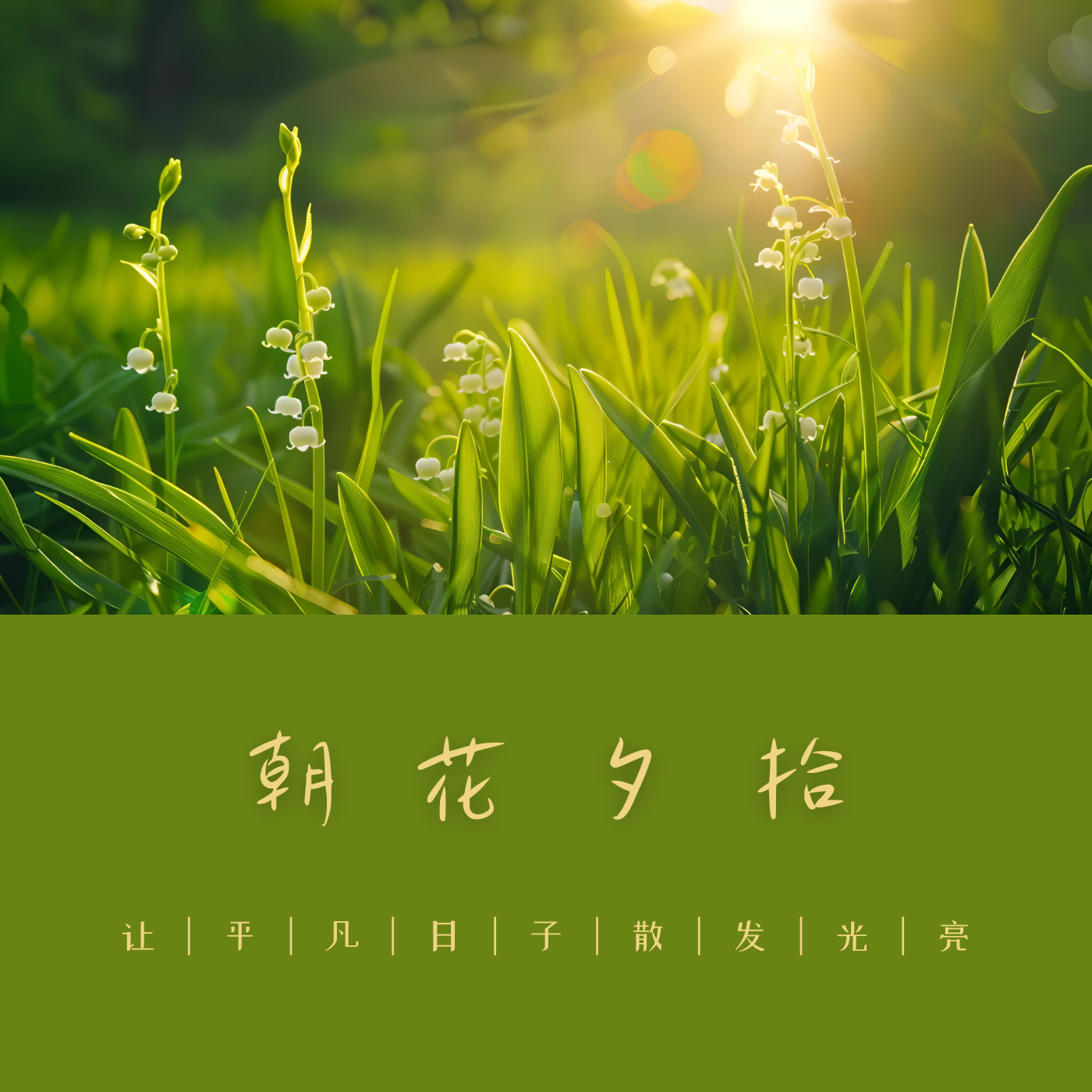 朝花夕拾