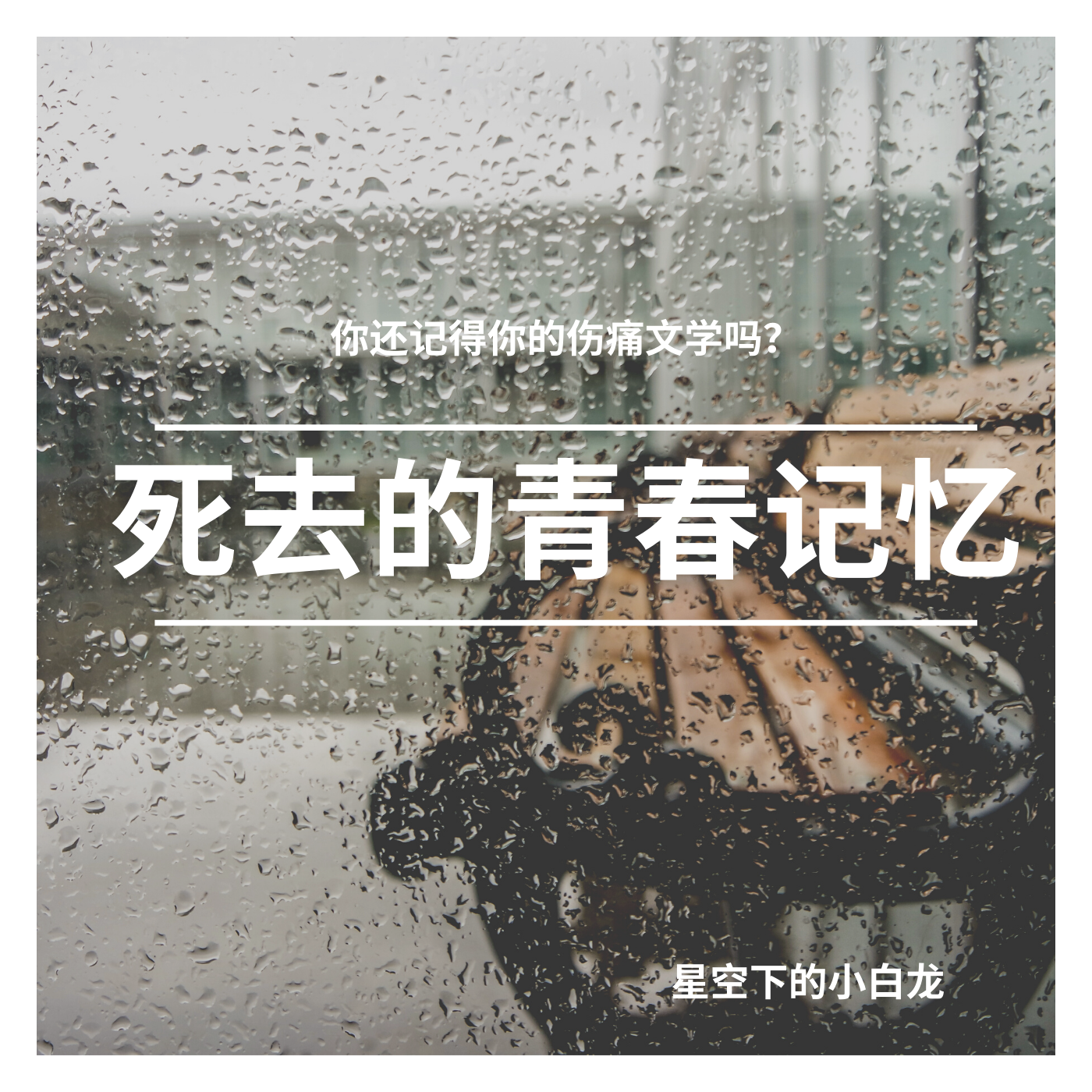 死去的青春记忆